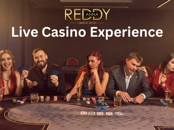  Live Casino Experience