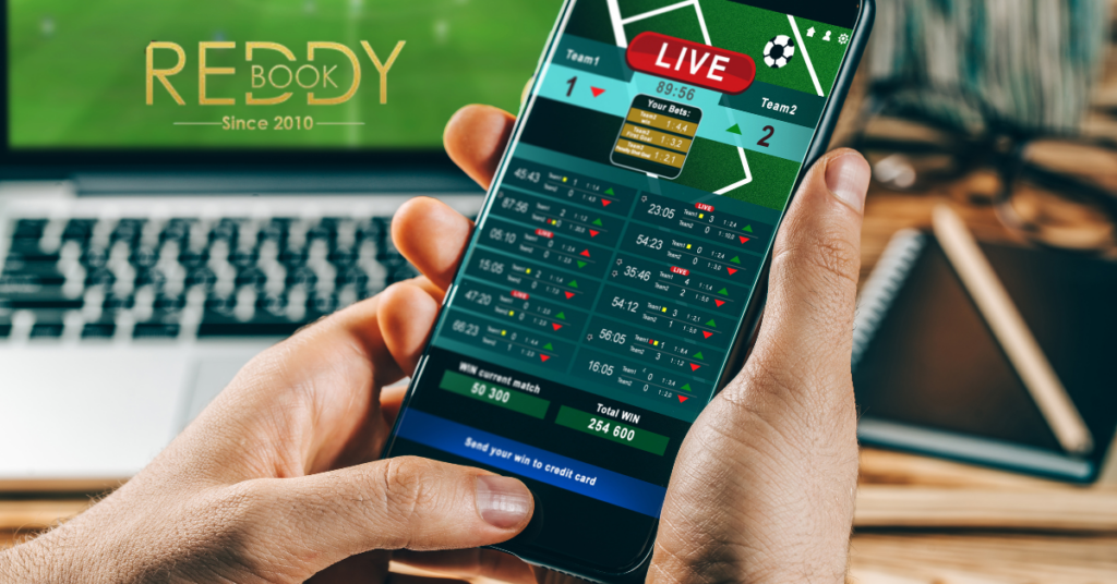 Why Reddybook Is Considered One of the Best Platforms for Online Betting