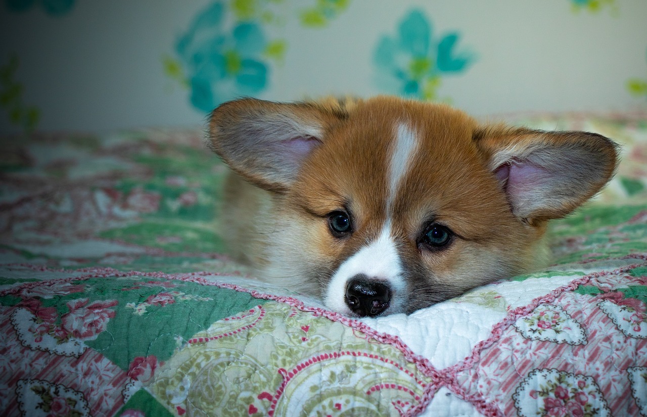 99exch: In‑Depth Review of India’s Leading Digital Trading Platform